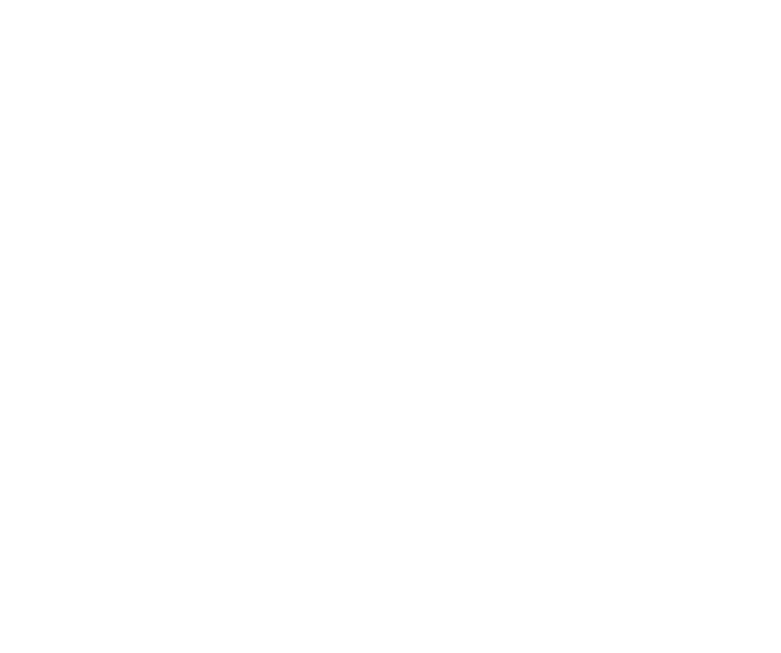 Accessibility Options